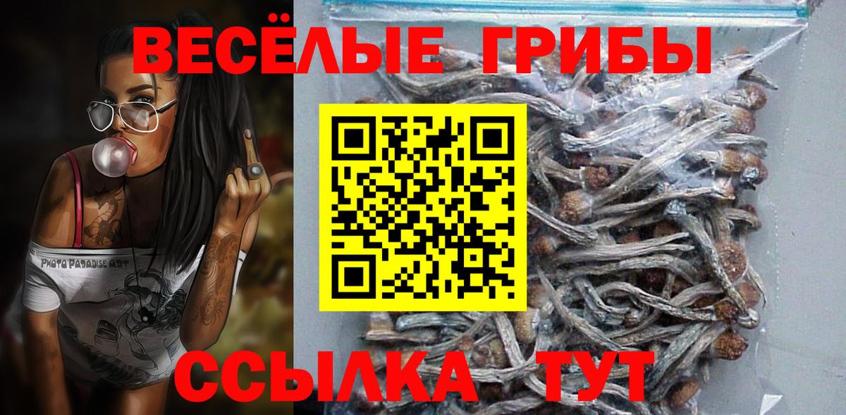 Псилоцибиновые грибы прущие грибы  Вход с VPN  Гусев 
